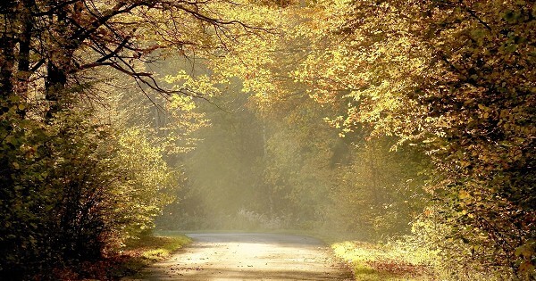 Bible Verses About Evangelism