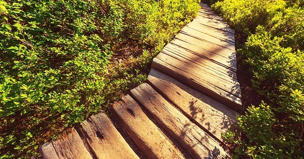 Bible Verses About God's Provision