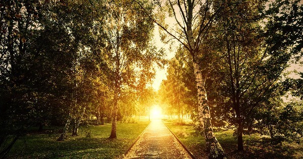 Bible Verses About Insecurity