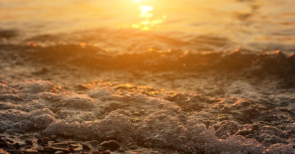 Bible Verses About Loving Others