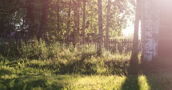 Bible Verses About The Holy Spirit