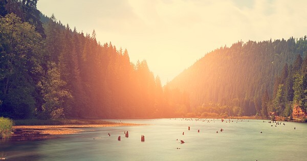 Bible Verses About Thankfulness
