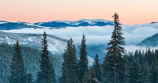 What Does the Bible Say About Knowing God?