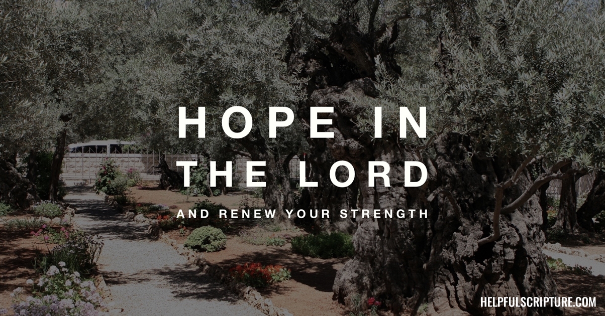 What Does The Bible Say About New Beginnings 